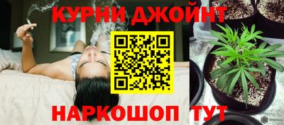 крисы Аша
