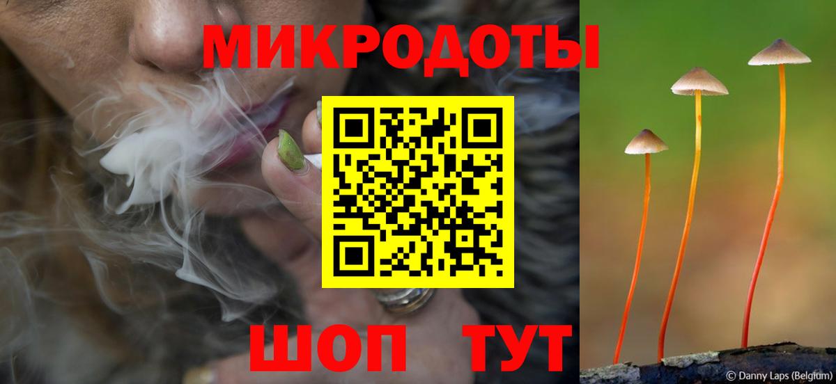 наркотики  Вход с VPN  Аргун  Псилоцибиновые грибы MAGIC MUSHROOMS  Псилоцибиновые грибы Cubensis 